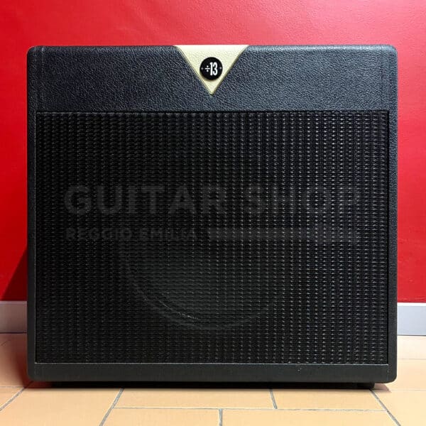 Divided By 13 SJT 10/20 Ampli Combo