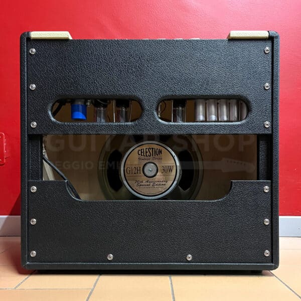 Divided By 13 SJT 10/20 Ampli Combo - immagine 2
