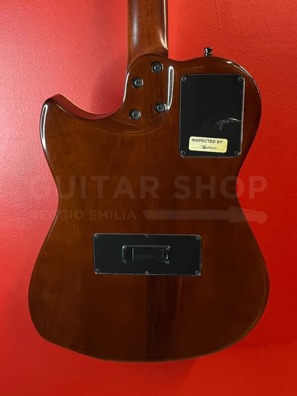 Godin Multiac Duet Nylon 2003 - immagine 4