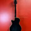Duesenberg Starplayer III Black - immagine 2