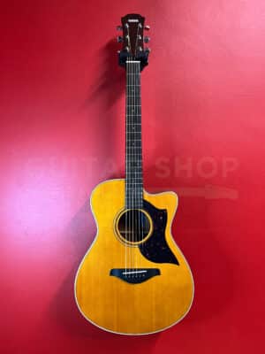 Yamaha AC3M